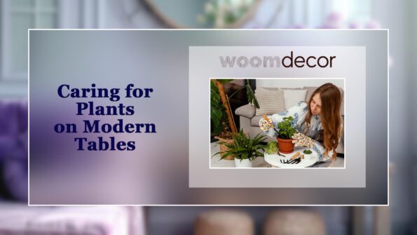 Caring for Plants on Modern Tables