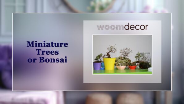 Miniature Trees or Bonsai